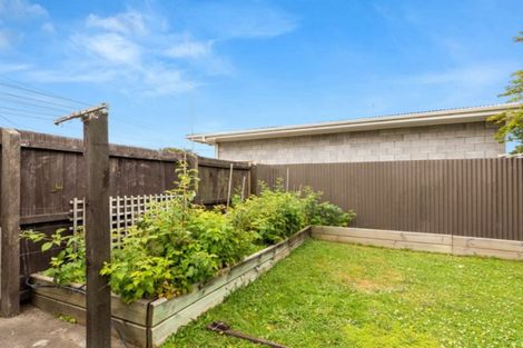 Photo of property in 169c Weld Street, Witherlea, Blenheim, 7201