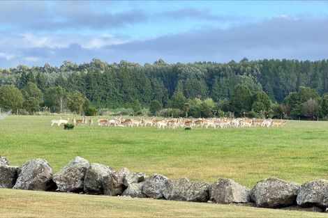 Photo of property in 18 Meadowlinks Lane, Pleasant Point, 7974