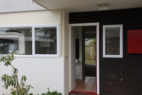 Photo of property in 29a Packe Street, Edgeware, Christchurch, 8013