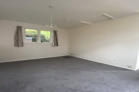 Photo of property in 207 Aro Street, Aro Valley, Wellington, 6021