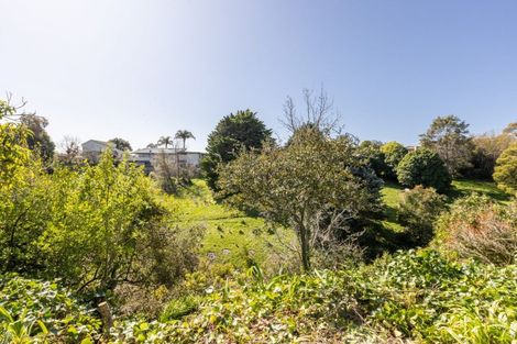 Photo of property in 51a Tainui Drive, Havelock North, 4130