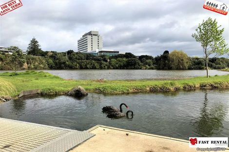 Photo of property in 1/20 Alma Road, Milford, Auckland, 0620