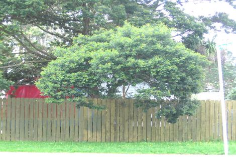 Photo of property in 154 Bruce Mclaren Road, Henderson, Auckland, 0612