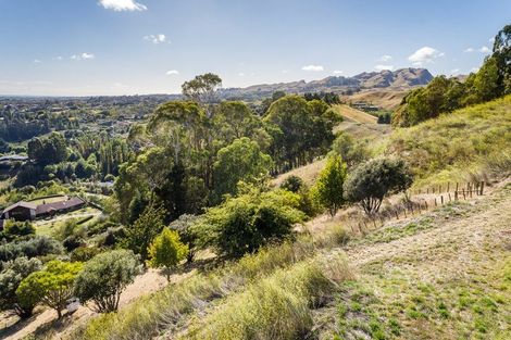 Photo of property in 121 Endsleigh Drive, Havelock North, 4172