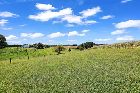 Photo of property in 54 Te Kawa Road, Otorohanga, Te Awamutu, 3873