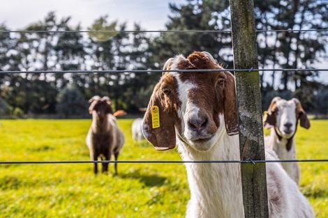 Photo of property in 23 Settlement Road, Morison Bush, Greytown, 5794