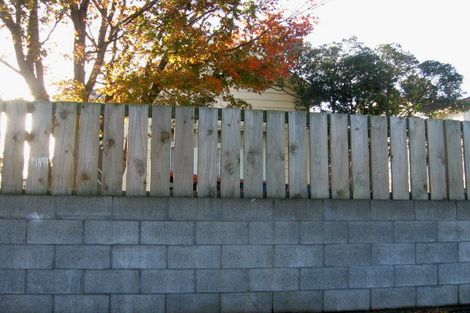 Photo of property in 97 Featherston Street, Takaro, Palmerston North, 4412