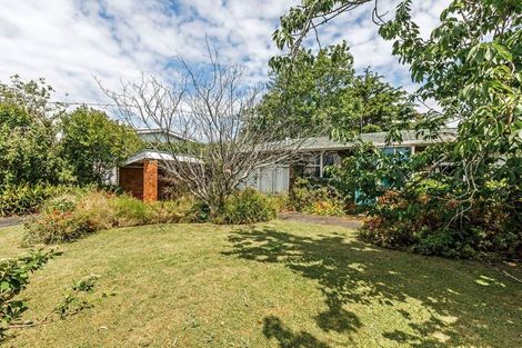 Photo of property in 156 Sunset Road, Unsworth Heights, Auckland, 0632