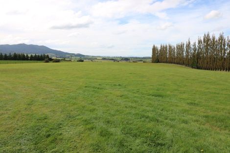 Photo of property in 349 Waimumu Road, Waimumu, Gore, 9774