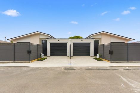 Photo of property in 1/17 Clark Street, Levin, 5510