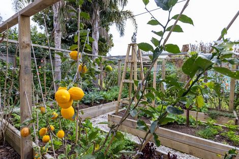 Photo of property in 15a Diamond Drive, Tairua, 3508