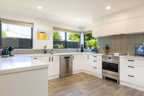 Photo of property in 105a Maxwell Road, Blenheim, 7201