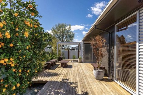 Photo of property in 52a Dillon Street, Blenheim, 7201