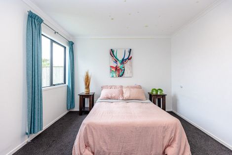 Photo of property in 24 Buckingham Place, Springvale, Whanganui, 4501