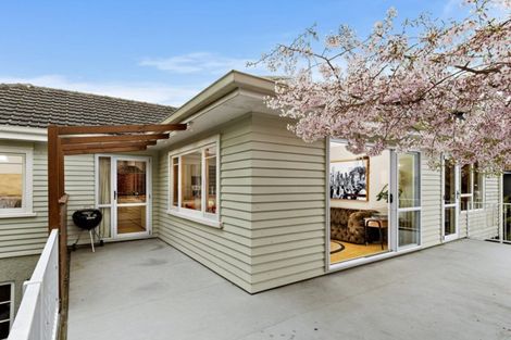 Photo of property in 70 Fifteenth Avenue, Tauranga South, Tauranga, 3112