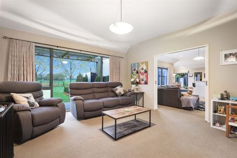 Photo of property in 222 Tinwald Westerfield Mayfield Road, Tinwald, Ashburton, 7771