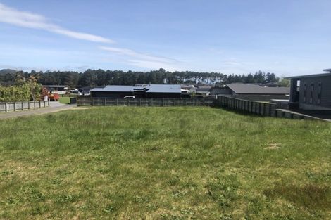 Photo of property in 142 Parekaawa Drive, Motuoapa, 3382