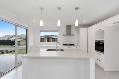 Photo of property in 60 Meachem Road, Chartwell, Hamilton, 3210