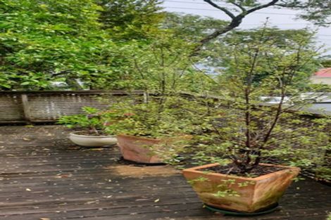 Photo of property in 10 Ashton Road, Mount Eden, Auckland, 1024