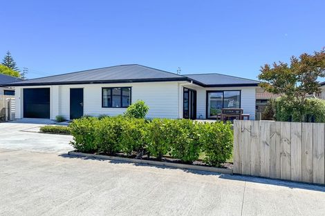 Photo of property in 112b Monrad Street, Highbury, Palmerston North, 4412