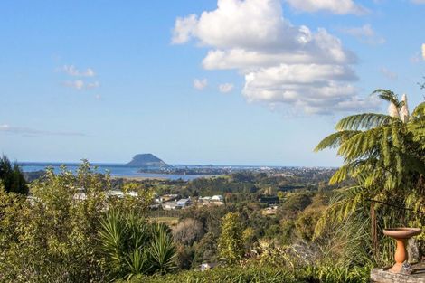 Photo of property in 186b Minden Road, Minden, Tauranga, 3176