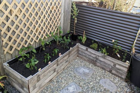 Photo of property in 54 Pirie Street, Mount Victoria, Wellington, 6011