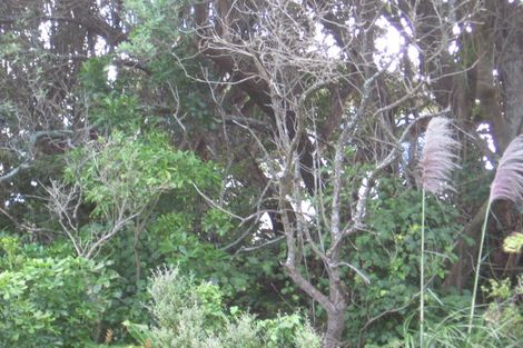 Photo of property in 37 Aldersgate Road, Hillsborough, Auckland, 1042