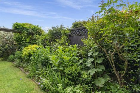 Photo of property in 7a Laing Place, Otumoetai, Tauranga, 3110