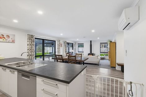 Photo of property in 115 Barkers Road, Methven, 7730