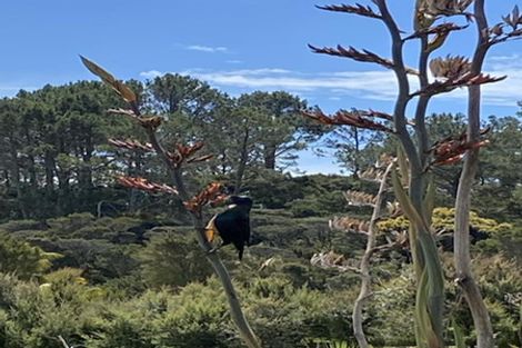 Photo of property in 15 Wrathall Road, Mangonui, 0420