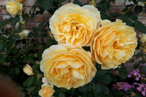 Photo of property in 262 Mckinley Road, Kokopu, Whangarei, 0179