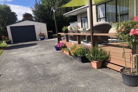 Photo of property in 29 Ranfurly Street, Solway, Masterton, 5810