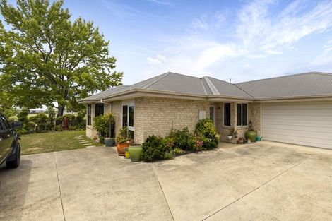 Photo of property in 113 Scott Street, Blenheim, 7201