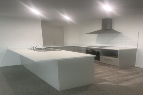 Photo of property in 14b Hinau Street, Maeroa, Hamilton, 3200