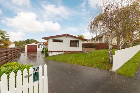 Photo of property in 30 Fraser Drive, Feilding, 4702