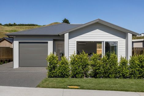 Photo of property in 259 Adler Drive, Ohauiti, Tauranga, 3112