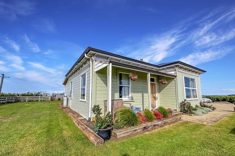 Photo of property in 119 Tuke Road, Waverley, 4592