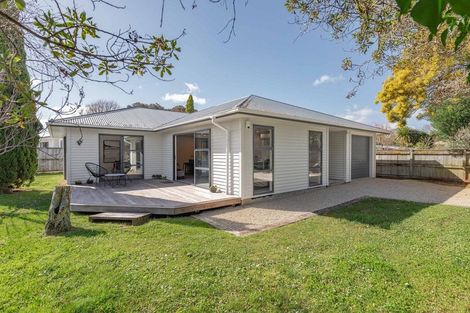 Photo of property in 43 Esther Street, Martinborough, 5711