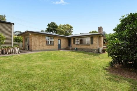 Photo of property in 105 Sutherland Road, Brookfield, Tauranga, 3110