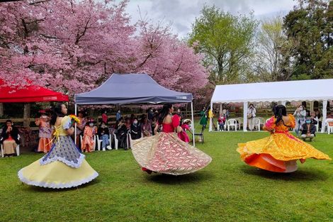 Photo of property in 125 Matangi Road, Matangi, Hamilton, 3284