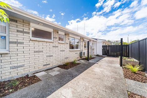 Photo of property in 28b Wood Street, Takaro, Palmerston North, 4410