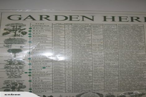 Photo of property in 12 Tapuhikura Street, Waikanae, 5036