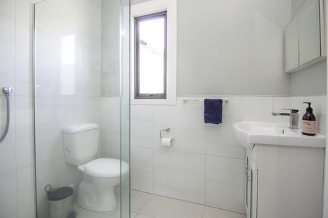 Photo of property in 12 Napier Road, Terrace End, Palmerston North, 4410