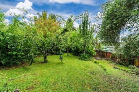 Photo of property in 9 Leese Street, Taumarunui, 3920