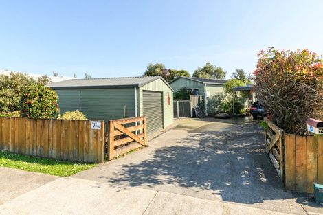 Photo of property in 74 Wyndham Street, Ashhurst, 4810