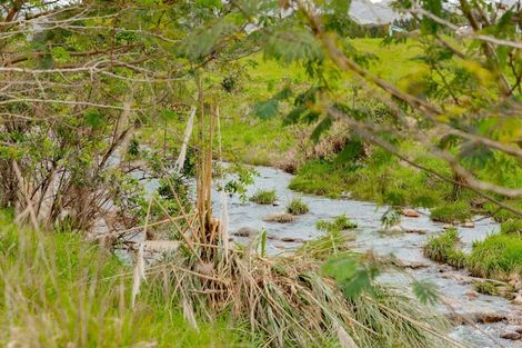 Photo of property in 30b Thompsons Track, Aongatete, 3178