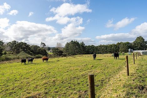 Photo of property in 118 Motu Road, Kumeu, 0891