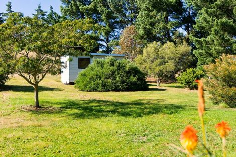 Photo of property in 317 Caseys Road, Blind River, Seddon, 7285