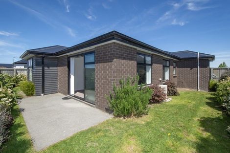 Photo of property in 55 William Nicholls Drive, Belfast, Christchurch, 8051