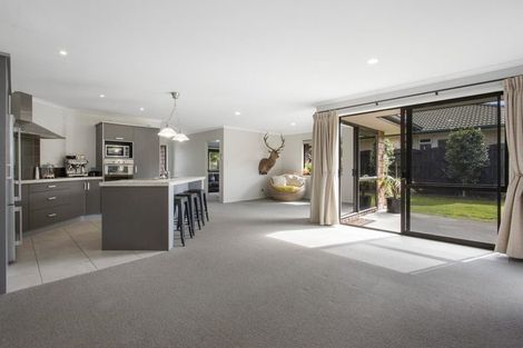 Photo of property in 51 Wills Road, Katikati, 3129